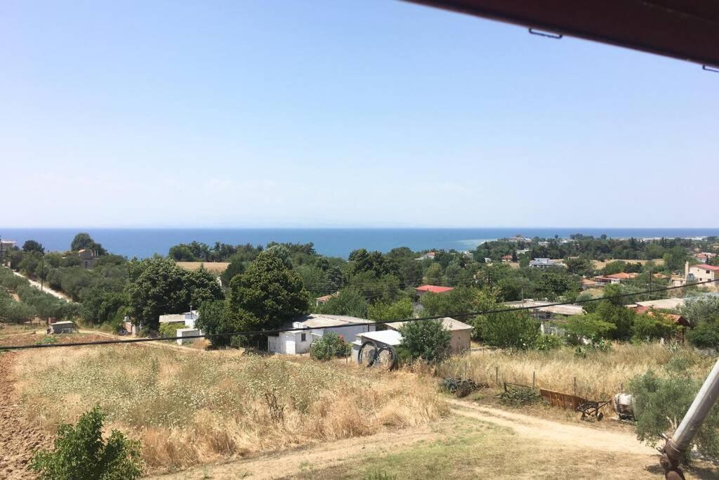 Eva Apartments Palioura 外观 照片